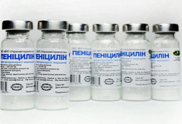 Penitsilin antibiotiki — mikroblarga qarshi vosita