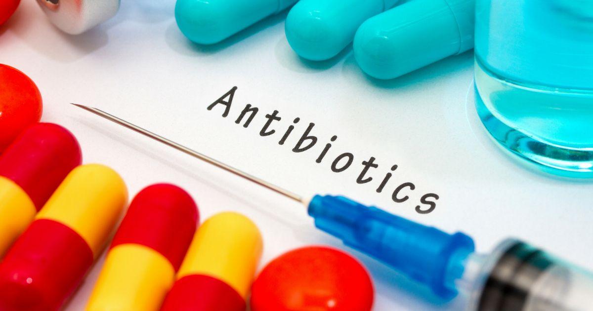 Tabiiy antibiotiklar