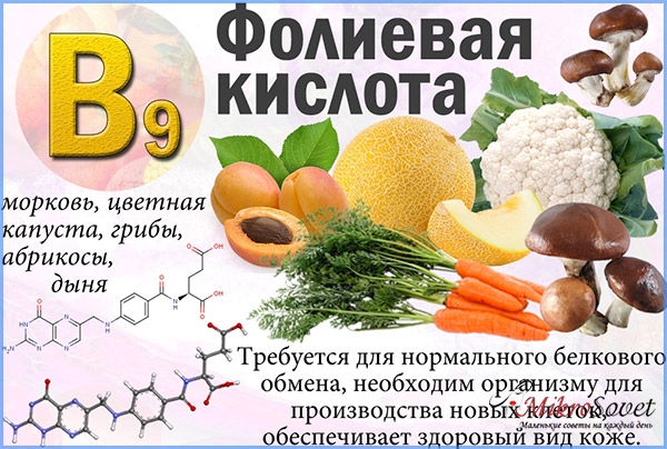 Vitamin B 9 yoki folat kislotasi