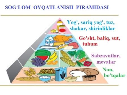 Plakat: «Sog’lom ovqatlanish piramidasi»